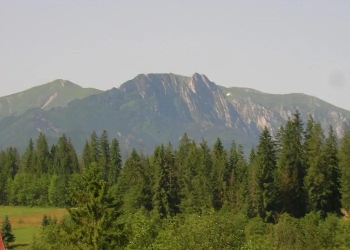 Lilijka-jacuzzi Z Widokiem Na Gory Chalet Poronin